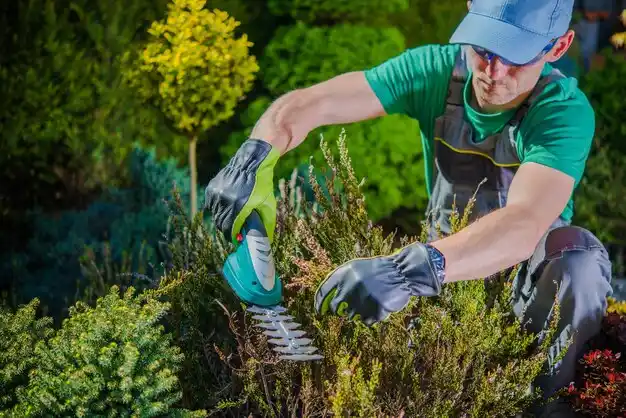 landscaping services Dry Ridge